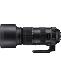 SIGMA 60-600mm F4.5-6.3 DG OS HSM Sports voor Nikon